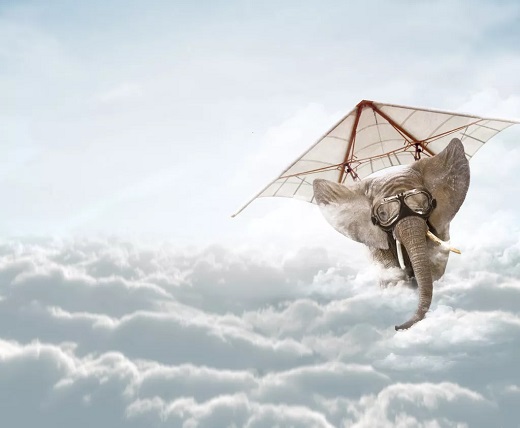 Titelbild Design-Netzwerk, ein Elefant fliegt durch die Wolken. Er hat eine Fliegerbrille auf und hängt an einem Fluggestell, das von Da Vinci entworfen sein könnte. 